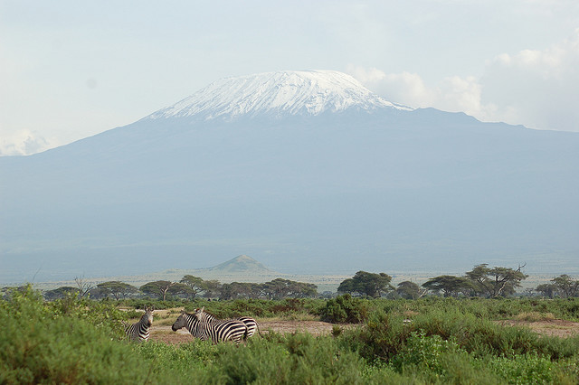 Amboseli NP Kenya, Feb 2007