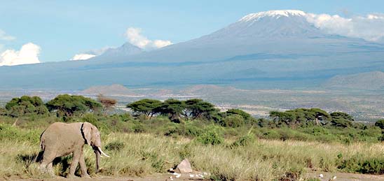 Nejkrsnj msta - Kilimanjaro